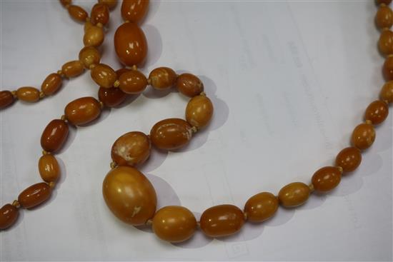 Two single strand graduated amber bead necklaces, gross weight 57grams.